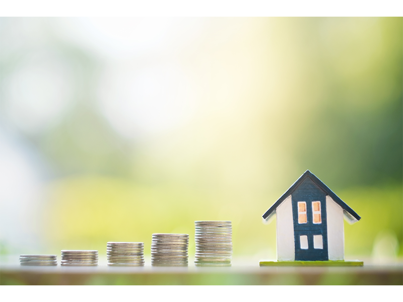 Local Property Investment Experts